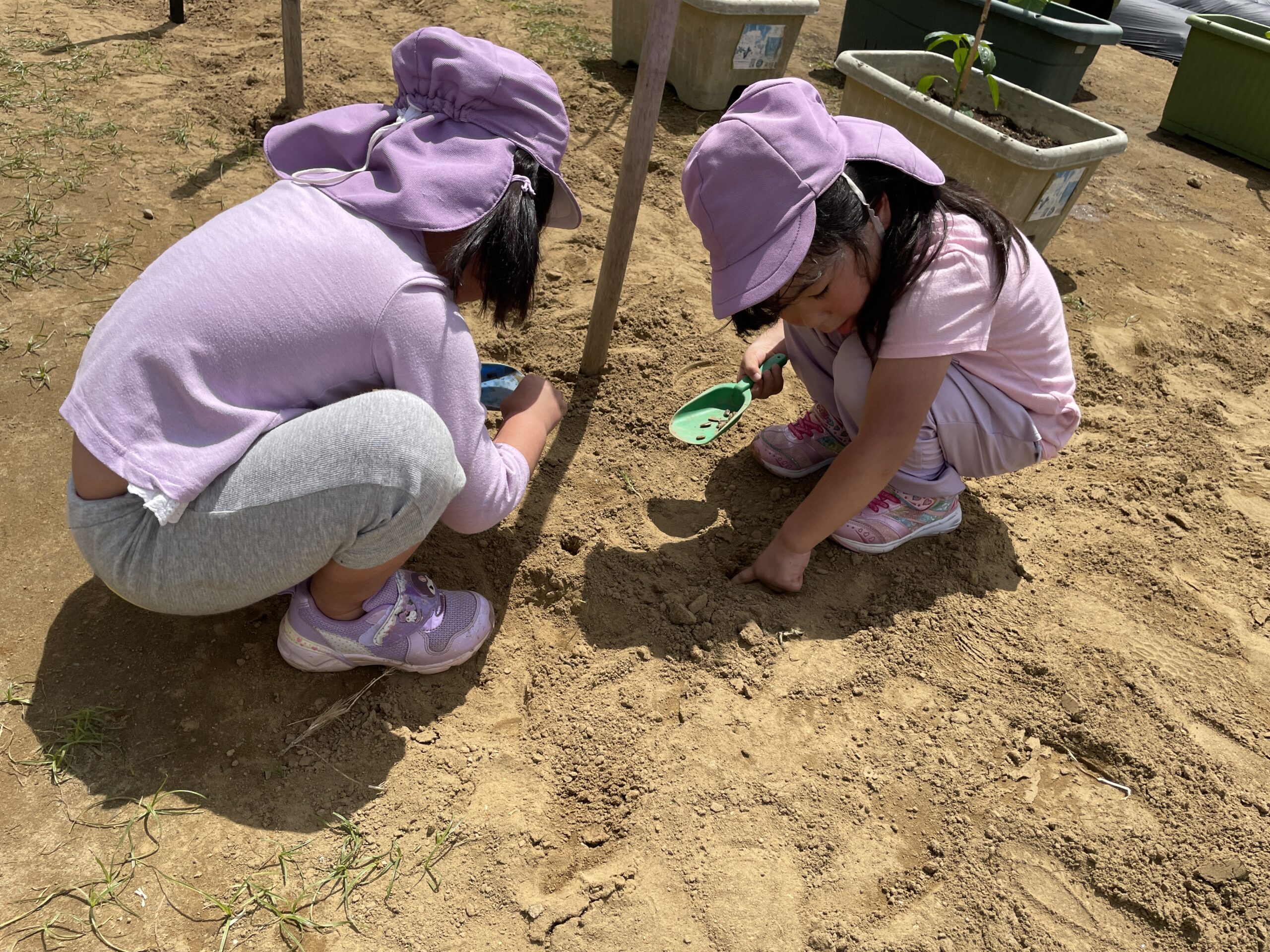 はっぴー組さんからのプレゼント その2