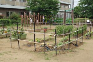 保育園佐倉東 畑だより
