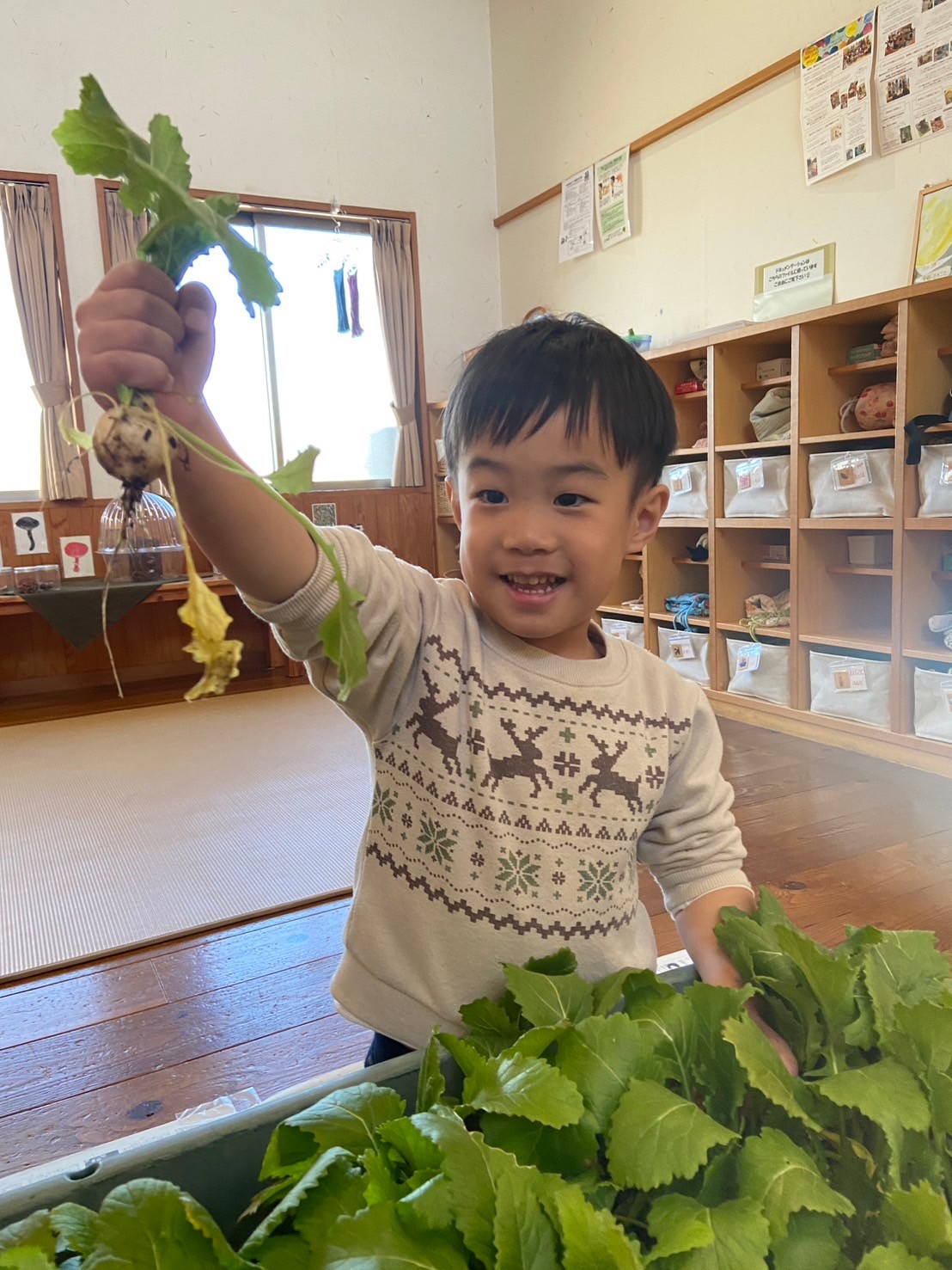 育てたかぶを食べてみよう！