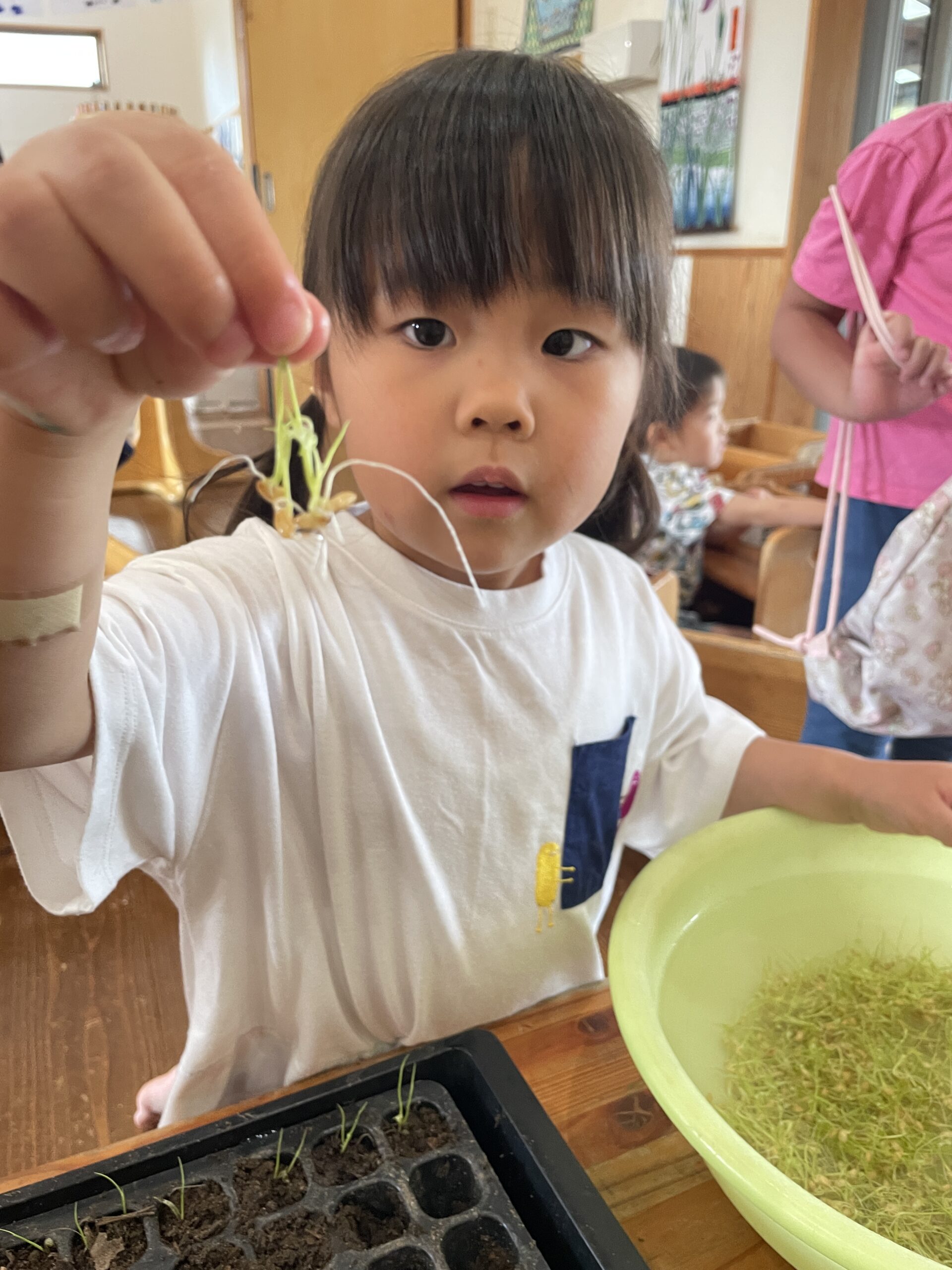 種のお引越し