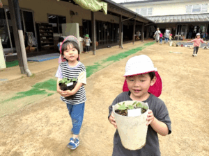 葉っぱをおひっこし