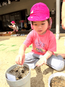 なぞの種②