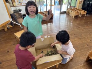 はっぴーそうだん