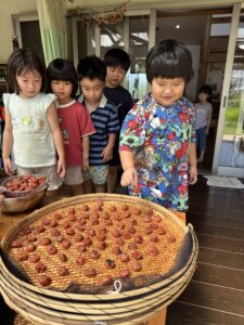 梅雨があけたら土用干し②