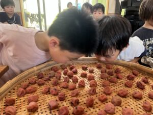 梅雨が明けたら土用干し③～完成編～