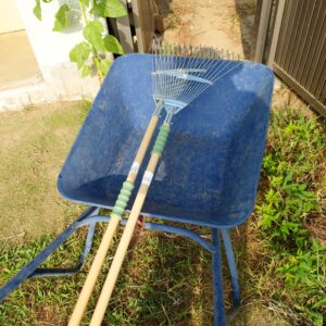 暑いけれど、熱い心で臨む草取りです