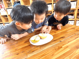 3歳つき組　りんご　りんご　どんなあじ？②