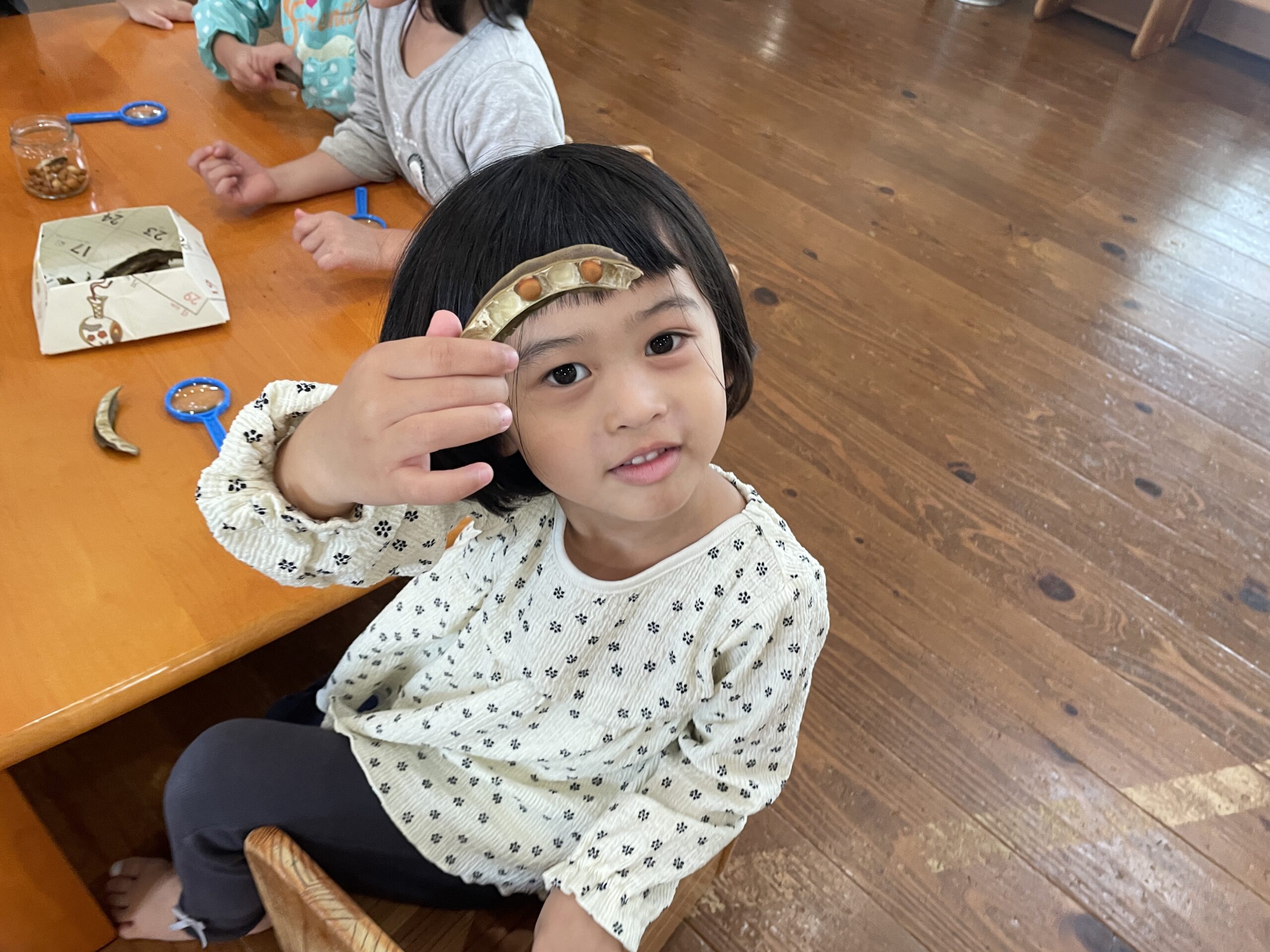 4歳ほし組 四角豆の種ってどうやってできるの?