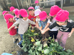 　秋ならではの・・・