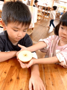 りんご りんご どんなあじ?⑥