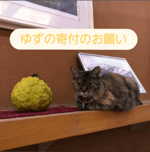 251115　instagram更新★ゆず募集にゃん