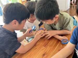 旬のりんごをたべてみよう🍎その２