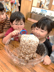 しいたけって　どうやってできるの？？