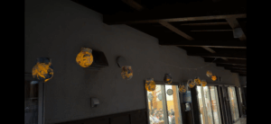 2歳かぜぐみ　ランプシェード作り✨