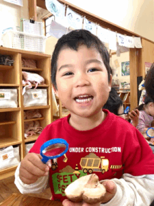 つき組しいたけ　収穫です！