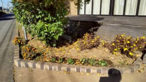 【サークル活動】エバーグリーンとんぼ舎②