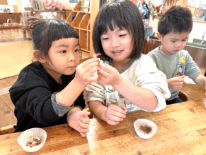 つき組しいたけ　収穫です！②