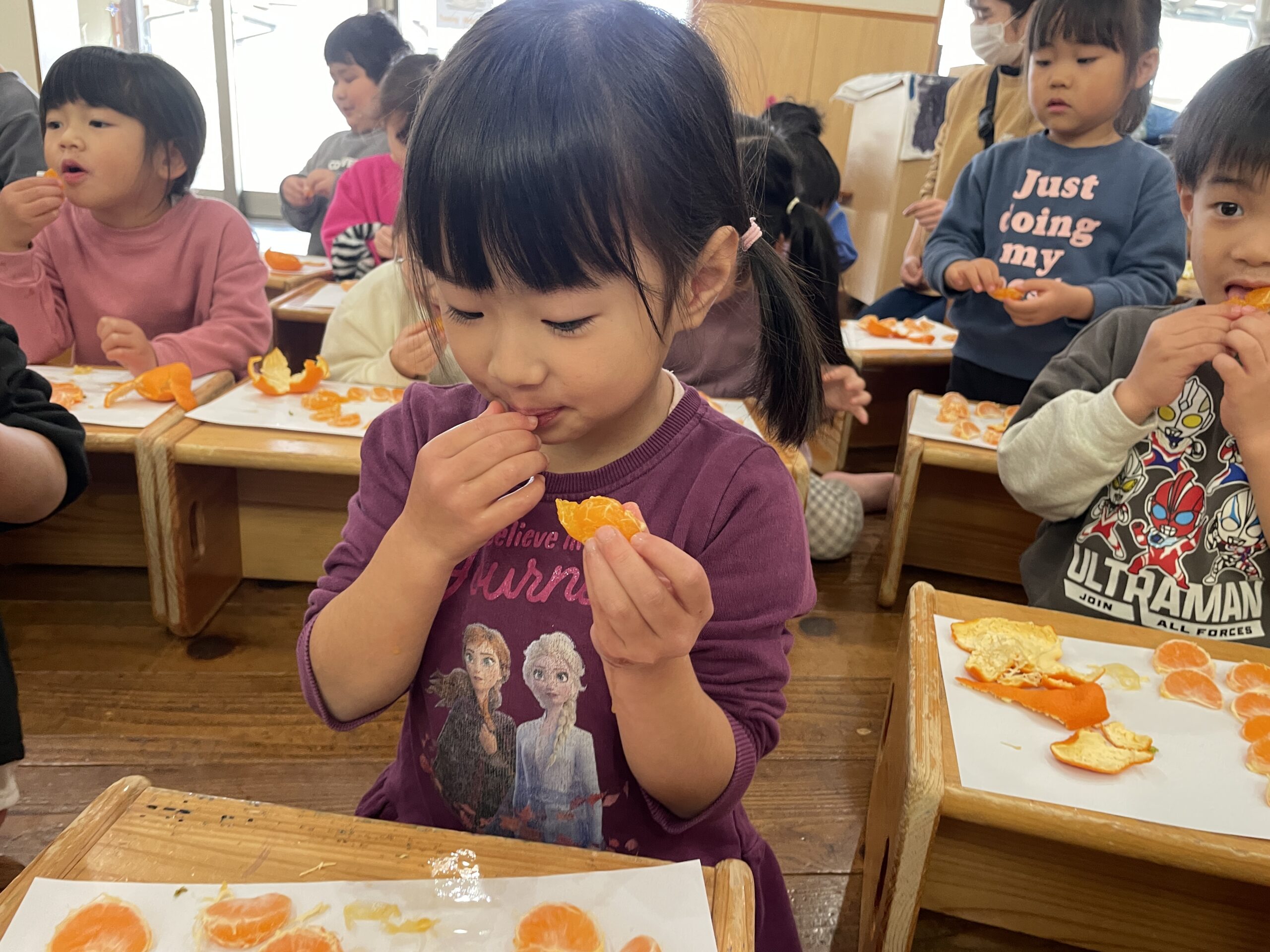 五感を使って、みかんと触れ合おう🍊